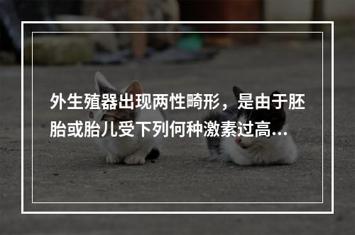 外生殖器出现两性畸形，是由于胚胎或胎儿受下列何种激素过高或不