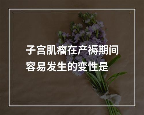 子宫肌瘤在产褥期间容易发生的变性是