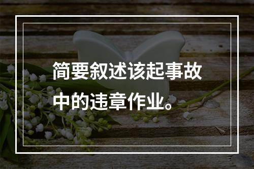 简要叙述该起事故中的违章作业。