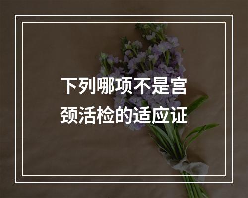 下列哪项不是宫颈活检的适应证