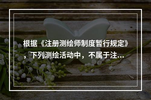 根据《注册测绘师制度暂行规定》，下列测绘活动中，不属于注册