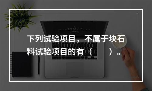 下列试验项目，不属于块石料试验项目的有（　　）。