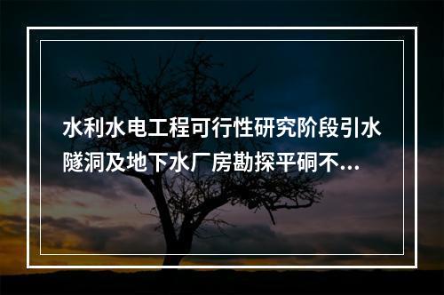 水利水电工程可行性研究阶段引水隧洞及地下水厂房勘探平硐不应