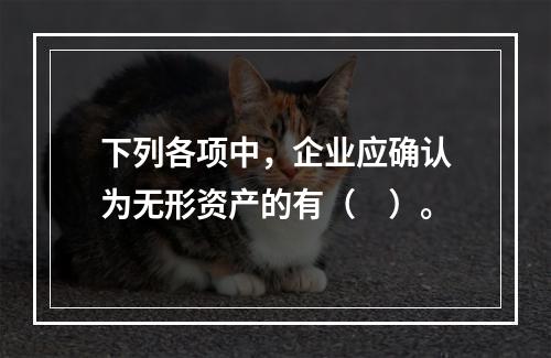 下列各项中，企业应确认为无形资产的有（　）。