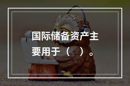 国际储备资产主要用于（　）。