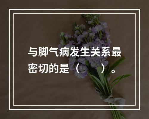 与脚气病发生关系最密切的是（　　）。