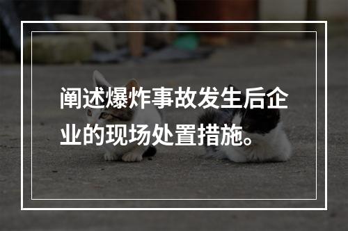 阐述爆炸事故发生后企业的现场处置措施。