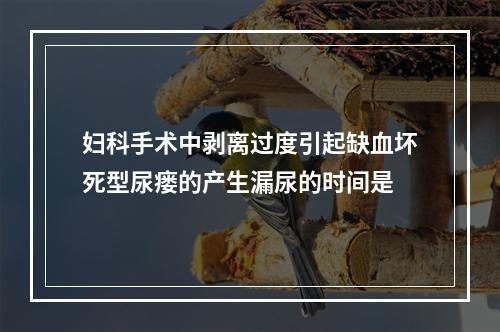 妇科手术中剥离过度引起缺血坏死型尿瘘的产生漏尿的时间是