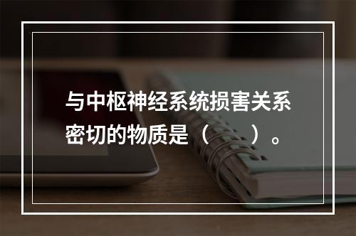 与中枢神经系统损害关系密切的物质是（　　）。