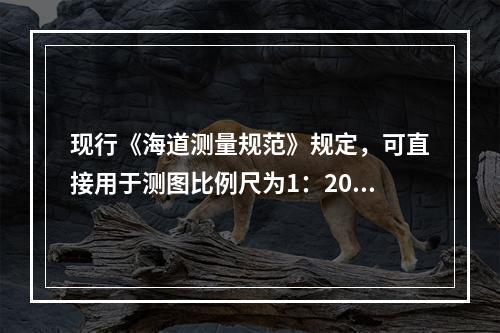 现行《海道测量规范》规定，可直接用于测图比例尺为1：200