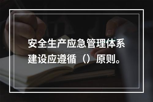 安全生产应急管理体系建设应遵循（）原则。