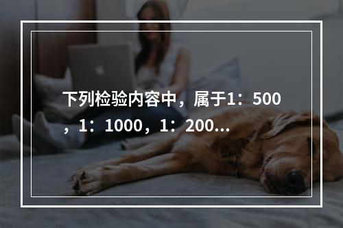 下列检验内容中，属于1：500，1：1000，1：2000