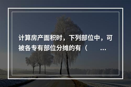 计算房产面积时，下列部位中，可被各专有部位分摊的有（　　）