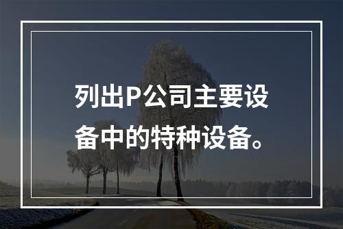 列出P公司主要设备中的特种设备。