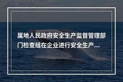 属地人民政府安全生产监督管理部门检查组在企业进行安全生产检查