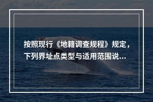 按照现行《地籍调查规程》规定，下列界址点类型与适用范围说法