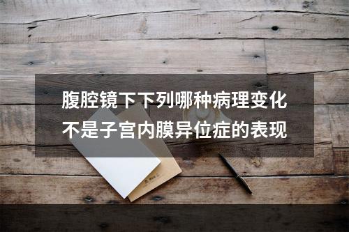 腹腔镜下下列哪种病理变化不是子宫内膜异位症的表现