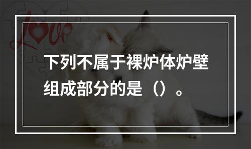 下列不属于裸炉体炉壁组成部分的是（）。