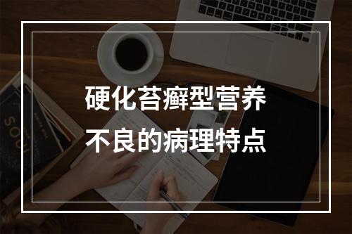 硬化苔癣型营养不良的病理特点