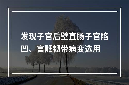 发现子宫后壁直肠子宫陷凹、宫骶韧带病变选用