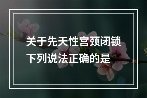 关于先天性宫颈闭锁下列说法正确的是