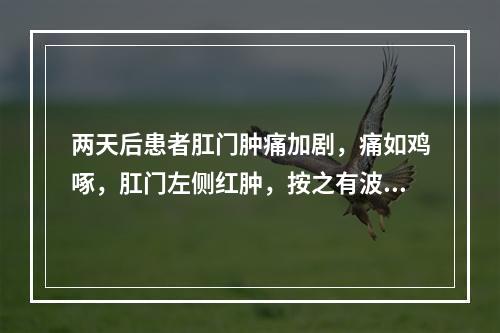 两天后患者肛门肿痛加剧，痛如鸡啄，肛门左侧红肿，按之有波动感