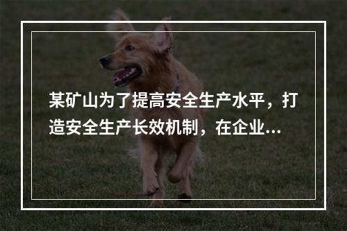 某矿山为了提高安全生产水平，打造安全生产长效机制，在企业一把