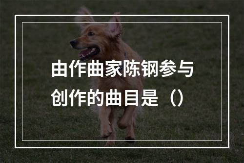 由作曲家陈钢参与创作的曲目是（）