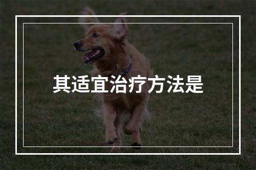 其适宜治疗方法是