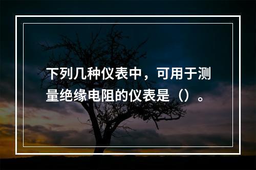 下列几种仪表中，可用于测量绝缘电阻的仪表是（）。