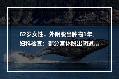 62岁女性，外阴脱出肿物1年。妇科检查：部分宫体脱出阴道。恰