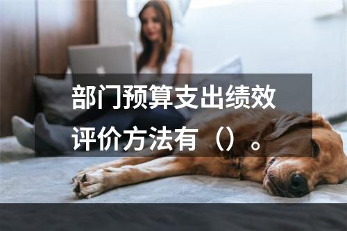 部门预算支出绩效评价方法有（）。