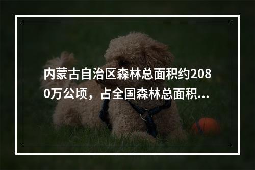 内蒙古自治区森林总面积约2080万公顷，占全国森林总面积的1