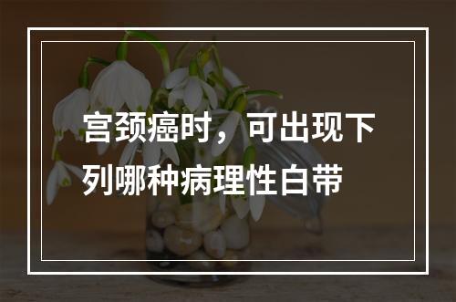 宫颈癌时，可出现下列哪种病理性白带