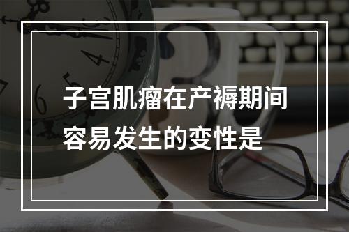 子宫肌瘤在产褥期间容易发生的变性是