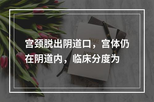 宫颈脱出阴道口，宫体仍在阴道内，临床分度为