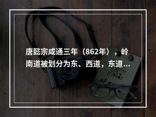 唐懿宗咸通三年（862年），岭南道被划分为东、西道，东道治广