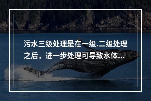 污水三级处理是在一级.二级处理之后，进一步处理可导致水体富营