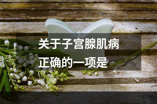 关于子宫腺肌病正确的一项是