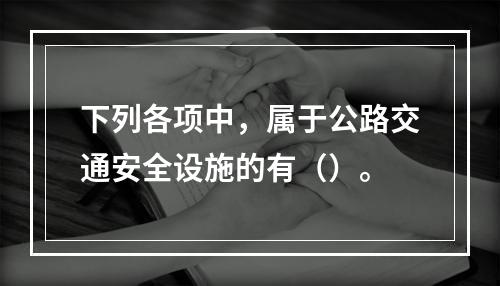 下列各项中，属于公路交通安全设施的有（）。