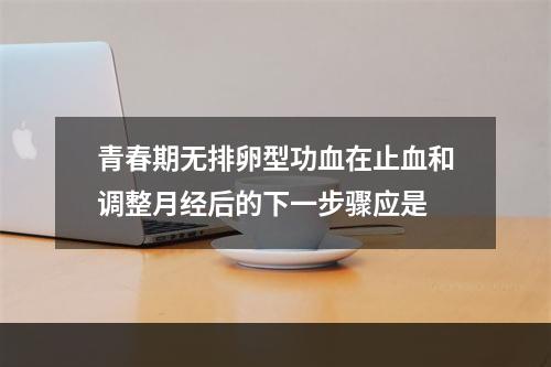 青春期无排卵型功血在止血和调整月经后的下一步骤应是