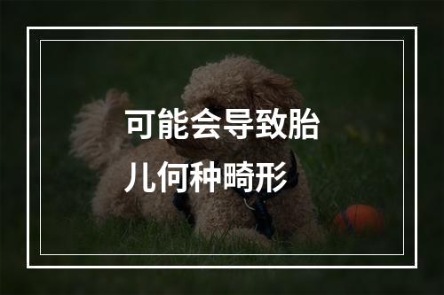 可能会导致胎儿何种畸形