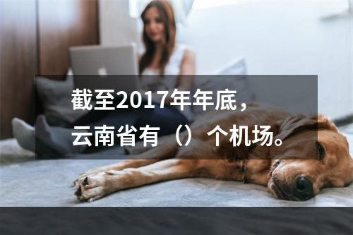 截至2017年年底，云南省有（）个机场。