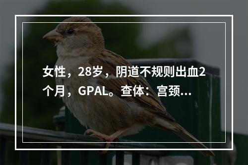 女性，28岁，阴道不规则出血2个月，GPAL。查体：宫颈糜烂