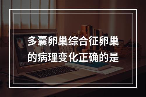 多囊卵巢综合征卵巢的病理变化正确的是