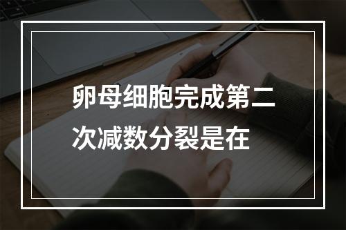 卵母细胞完成第二次减数分裂是在