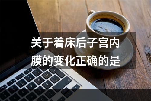 关于着床后子宫内膜的变化正确的是