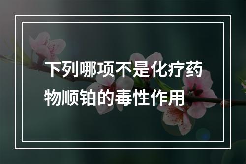 下列哪项不是化疗药物顺铂的毒性作用