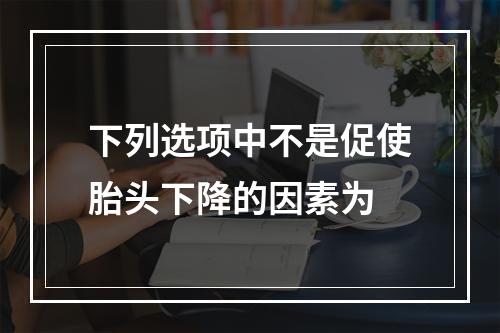 下列选项中不是促使胎头下降的因素为