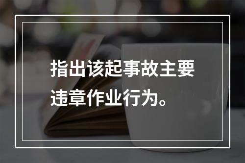 指出该起事故主要违章作业行为。